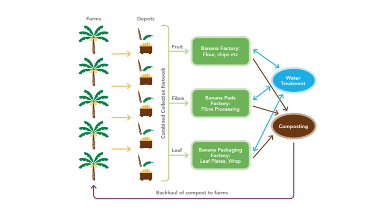 Flowchart showing the movement of banana fruit, fibre, and leaves from farms to depots to factories to water treatment and composting to farms again
