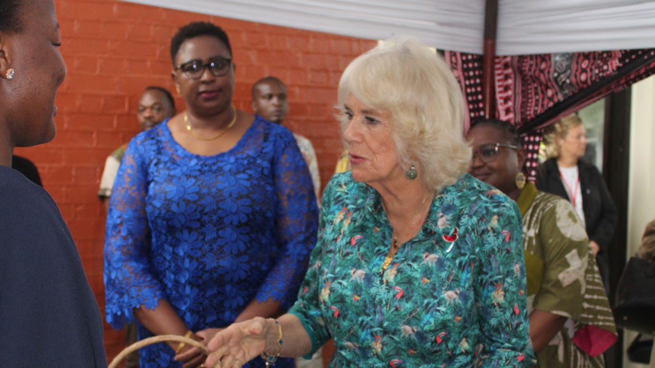 Queen Camilla meeting attendees at the REINVENT-managed Sexual and Gender Based Violence (SGBV) Situation Room
