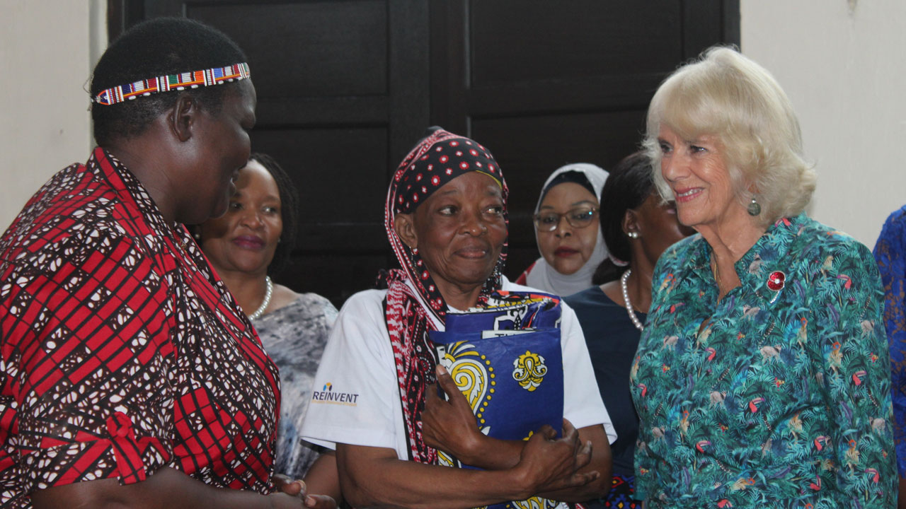 Queen Camilla meeting attendees at the REINVENT-managed Sexual and Gender Based Violence (SGBV) Situation Room