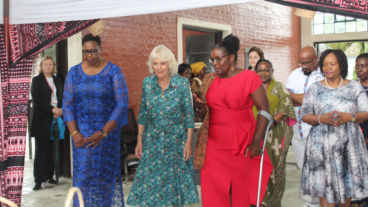 Queen Camilla meeting attendees at the REINVENT-managed Sexual and Gender Based Violence (SGBV) Situation Room