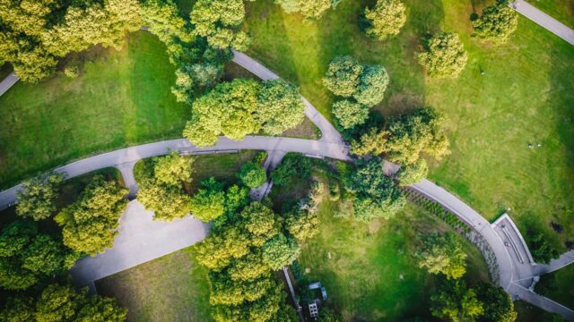 Aerial view of a park with paved paths and big shady trees