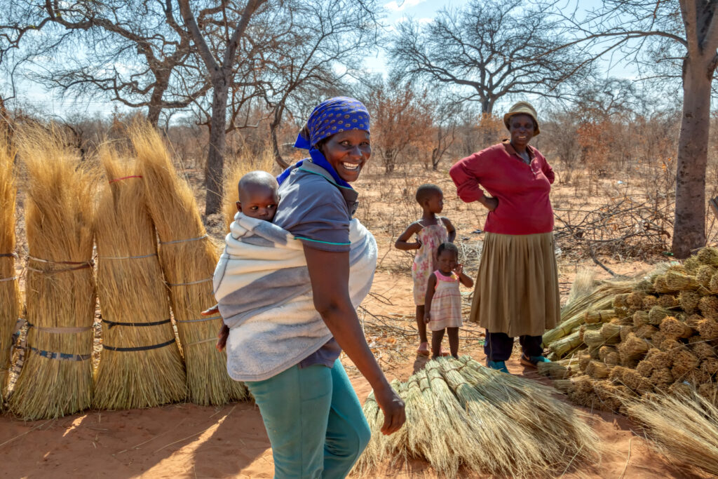 16 Days of Activism: how our evaluations are informing Zimbabwe's work against GBV