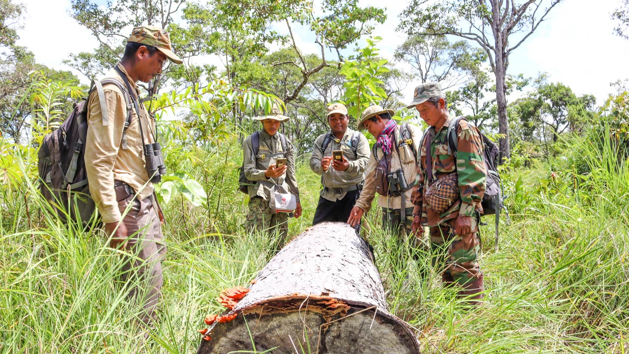 A squad of five in uniform in a forest field gathering data on a fallen tree trunk during a patrol