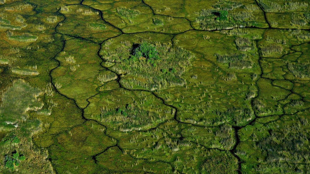Aerial view of the Okavango River basin rivers etching blue lines through a wide green landscape