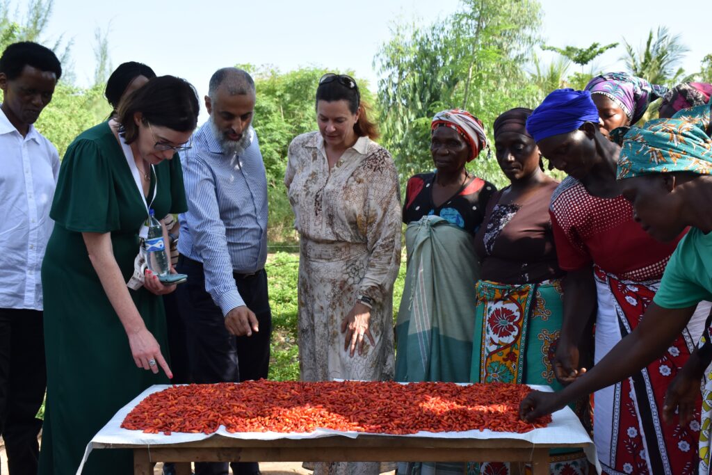 Empowering local agribusiness in Kenya: a visit from the Deputy British High Commissioner