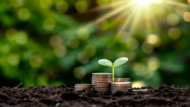 A sprout coming up between stacks of coins on soil